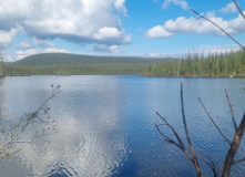 Кольский, Русская Лапландия: Тропа викинга и Лапландский заповедник (разведка)