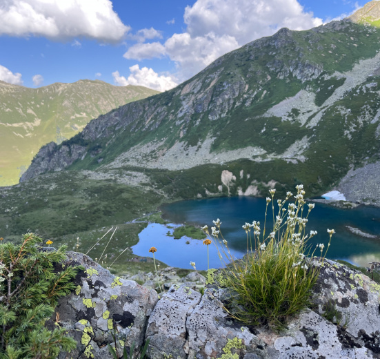Кавказ, Цветущие склоны Архыза