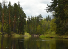 Подмосковье, Три дня на байдарках по реке Лух с походной баней