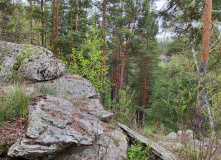 Урал, Байдарки на Урале : майский сплав по реке Сакмара