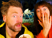 Япония, Японская кругосветка