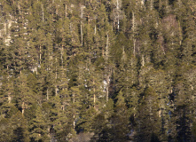 Кавказ, Зимний кемпинг у Скалистого хребта: трекинги налегке с ночёвками в палаточных домах