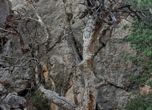Узбекистан, Лето, весна, зима и снова лето: пеший поход по весенним горам Западного Тянь-Шаня