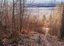 Северо-Запад, Прогулка на квадроциклах по Карельскому перешейку: "В поисках затерянных деревень"