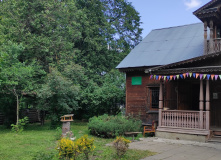 Подмосковье, Корпоративное мероприятие - Праздник в лесу