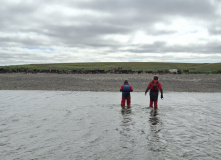 Урал, Полярный Урал. Сплав по рекам Нияю, Большая Уса и Уса