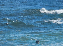 Сахалин, Сахалино-Камчатский вояж: по следам Крузенштерна (активный комфорт-тур)
