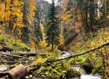 Кавказ, Семейный лагерь в Красной поляне