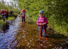 Подмосковье, Шёпот мещёрских лесов да гладь озёр