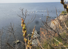 Калининград, Активное мультипутешествие на Балтике: море, поход и история