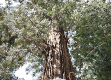 Япония, Японские Альпы. Горнолыжный + культурный тур (разведка)