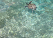 Турция, По горам центральной части Ликийской тропы