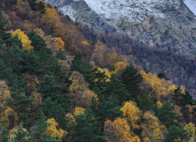 Северная Осетия (Алания), Три дня в Алании: горная Дигория
