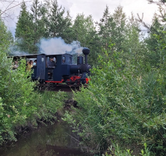 Голубой вагон бежит, качается или Путешествие к паровозу с детьми