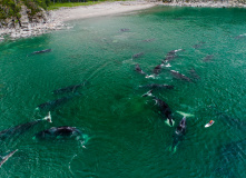 Дальний Восток, Шантарские острова: в поисках мечты (разведка)