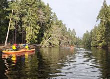 Подмосковье, Сплав по реке Поля «Cквозь лес на байдарках»