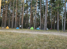 Беларусь, Счастье лесных дорог. Велопоход