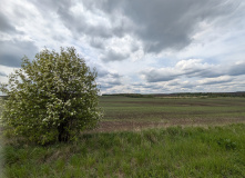Подмосковье, Пеший поход вдоль берегов Красивой Мечи: Тульская Швейцария