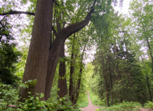 Северо-Запад, Однодневный поход вдоль Кавголовского озера с посещением органного концерта в Токсово