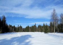 Подмосковье, Лыжный поход - Легендарная ГАБОвская народная лыжня