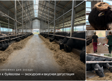 Кавказ, Горный лагерь в Приэльбрусье (зимняя программа с размещением в гостинице)