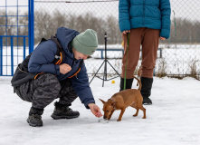 Подмосковье, Дог лагерь Лапка путешествий
