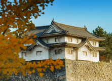 Япония, К пальмам и горячим пескам (разведка)