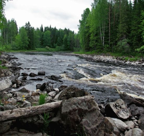 Сплав по реке Янисйоки