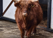 Северная Осетия (Алания), Три дня в Алании: Тайны Даргавса и высоты Фиагдона
