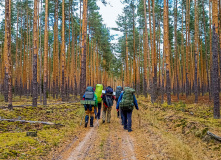 Подмосковье, Шёпот мещёрских лесов да гладь озёр