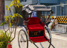 Япония, Япония в объятьях сливы и сакуры: ранее цветение