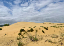Дагестан, Дагестан глазами натуралиста