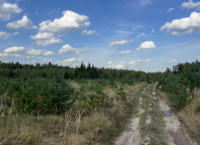 Подмосковье, К НЛО через Голубое озеро