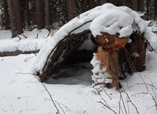 Северо-Запад, Основы выживания в лесу и на заброшенных объектах