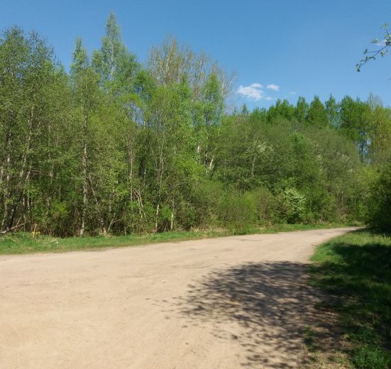 Велопрогулка "В поисках лесного озера"