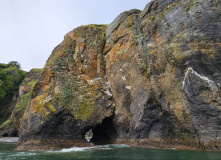 Камчатка, Камчатский вояж Лайт: шум океана и шёпот вулканов (комфорт-тур)