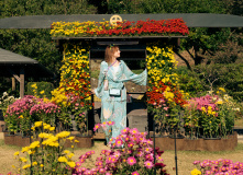 Япония, К пальмам и горячим пескам (разведка)