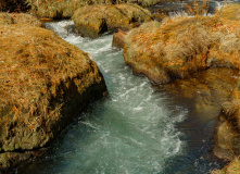 Япония, Осень у подножия Фудзиямы