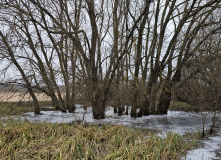 Подмосковье, Родина Маршала Жукова и озеро Огублянка