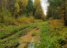 Подмосковье, Хлюпай из Хлюпино