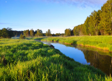 Подмосковье, Поход на выходные на байдарках по реке Тьма с баней на берегу