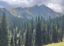 Киргизия, В стране эдельвейсов: пеший поход по Центральному Тянь-Шаню (Терскей-Алатау)