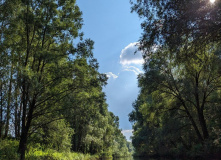 Подмосковье, Однодневный сплав по реке Дубна с прогулкой и обедом на Ферме