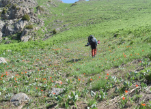 Узбекистан, Лето, весна, зима и снова лето: пеший поход по весенним горам Западного Тянь-Шаня