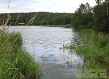 Подмосковье, Велопоход - Лесными тропинками к Торбееву озеру - Московская область