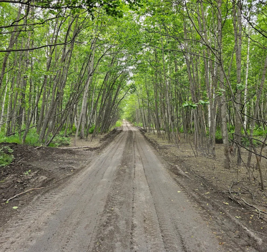 Толбачинский экспресс: новейшие извержения Камчатки (без палаток)