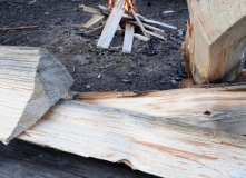 Подмосковье, Однодневный поход для всех "Выживание в лесу"