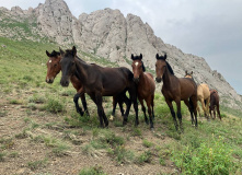 Узбекистан, Лето, весна, зима и снова лето: пеший поход по весенним горам Западного Тянь-Шаня
