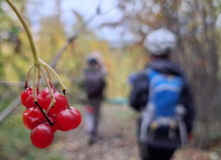 Русский Север, Велотур по Вологодской области