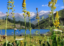 Киргизия, Лакшери Тянь-Шань: горы и пляж (разведка)